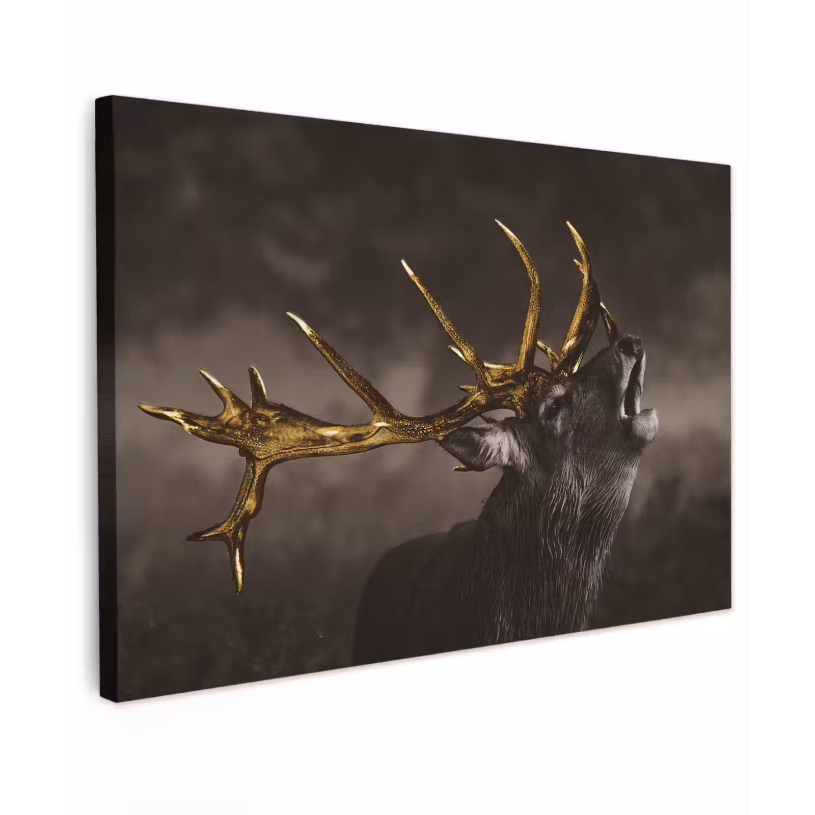 Canvas schilderij - Hert - Black - Gold — 1