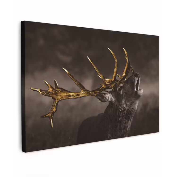 Canvas schilderij - Hert - Black - Gold — 1