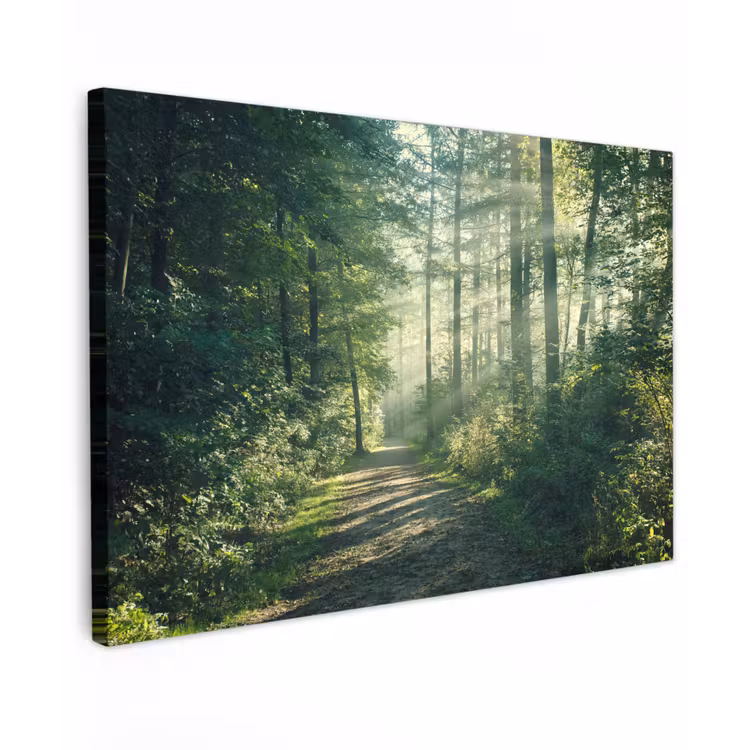 Canvas schilderij - Bos - Pad - Zon - Bomen - Groen - Natuur — 1