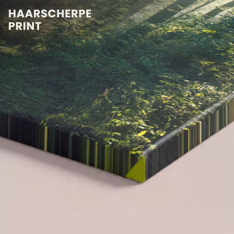 Canvas schilderij - Bos - Pad - Zon - Bomen - Groen - Natuur — 5
