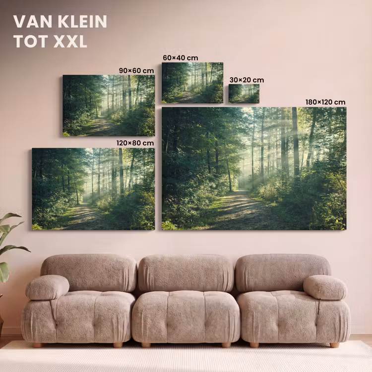 Canvas schilderij - Bos - Pad - Zon - Bomen - Groen - Natuur — 8