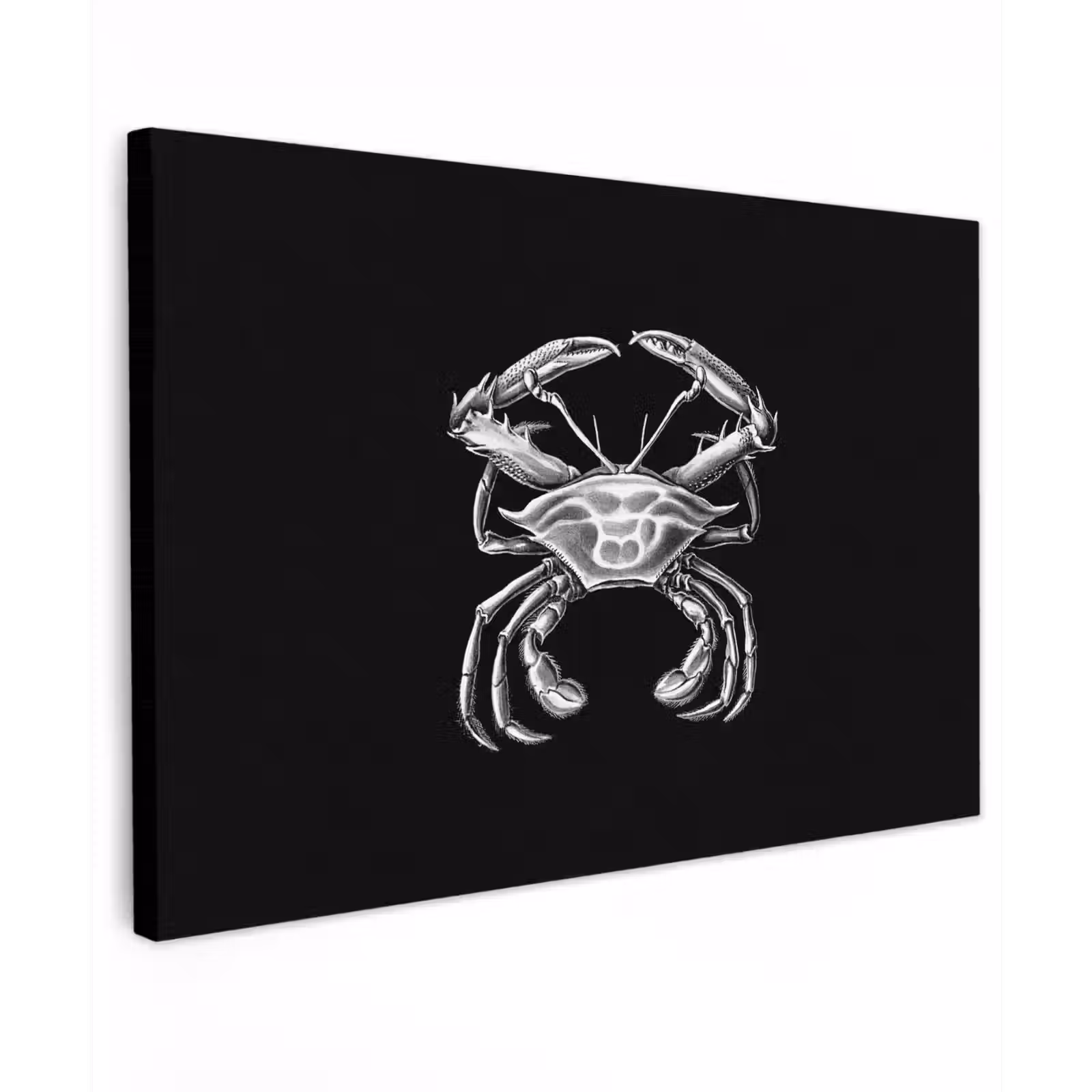 Canvas schilderij - Ernst Haeckel - Krab - Oude meesters - Vintage - Dieren - Kunst — 1
