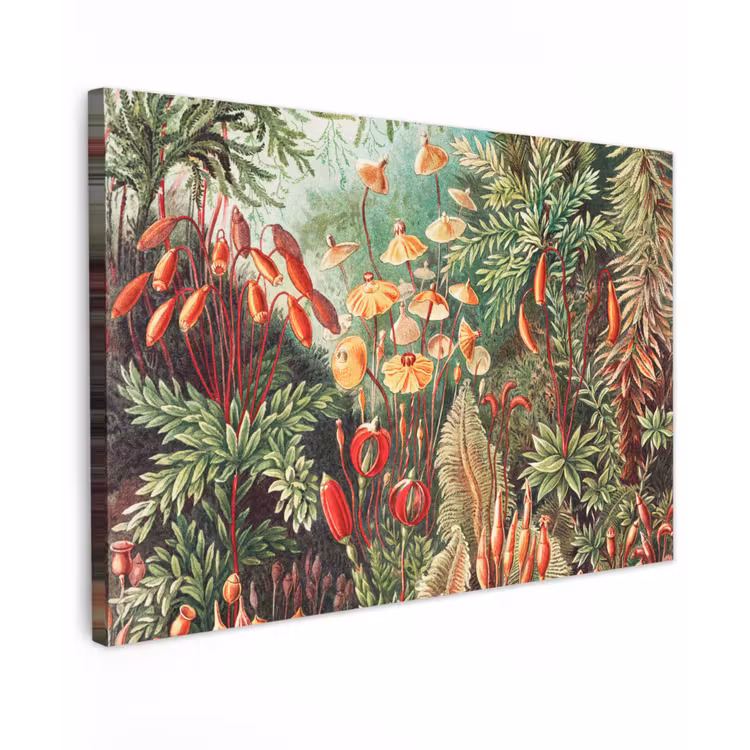Canvas schilderij - Bloemen - Kunst - Vintage - Natuur - Botanisch — 1