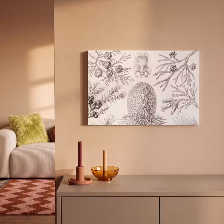 Canvas schilderij - Coniferen - Ernst Haeckel - Kunst - Retro - Illustratie - Natuur — 2