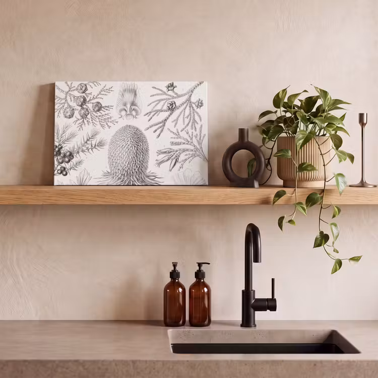 Canvas schilderij - Coniferen - Ernst Haeckel - Kunst - Retro - Illustratie - Natuur — 4
