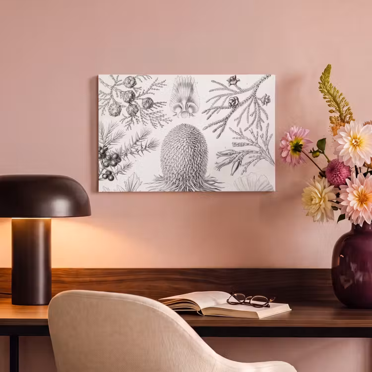 Canvas schilderij - Coniferen - Ernst Haeckel - Kunst - Retro - Illustratie - Natuur — 6