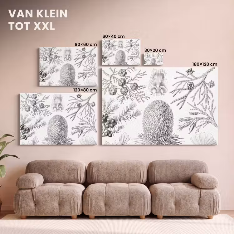 Canvas schilderij - Coniferen - Ernst Haeckel - Kunst - Retro - Illustratie - Natuur — 8