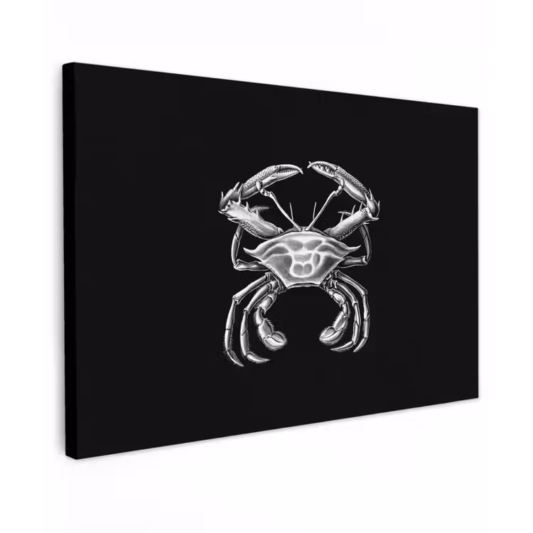 Canvas schilderij - Ernst Haeckel - Krab - Oude meesters - Vintage - Dieren - Kunst — 1