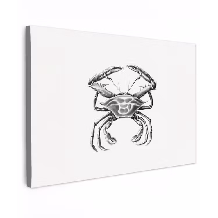 Canvas schilderij - Ernst Haeckel - Vintage - Kunst - Krab — 1