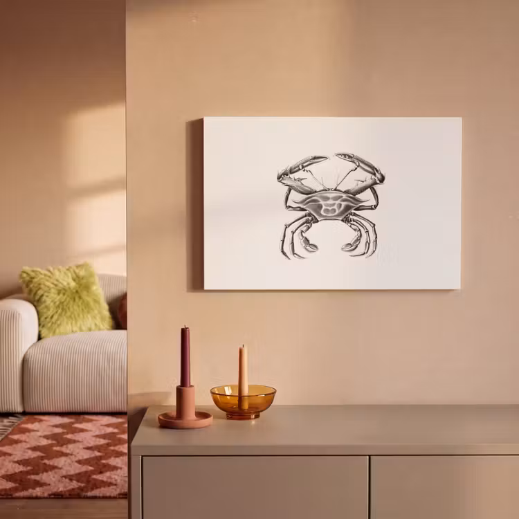 Canvas schilderij - Ernst Haeckel - Vintage - Kunst - Krab — 2