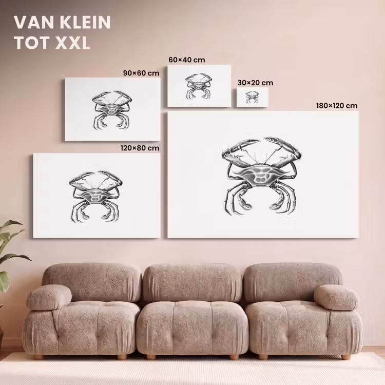 Canvas schilderij - Ernst Haeckel - Vintage - Kunst - Krab — 8