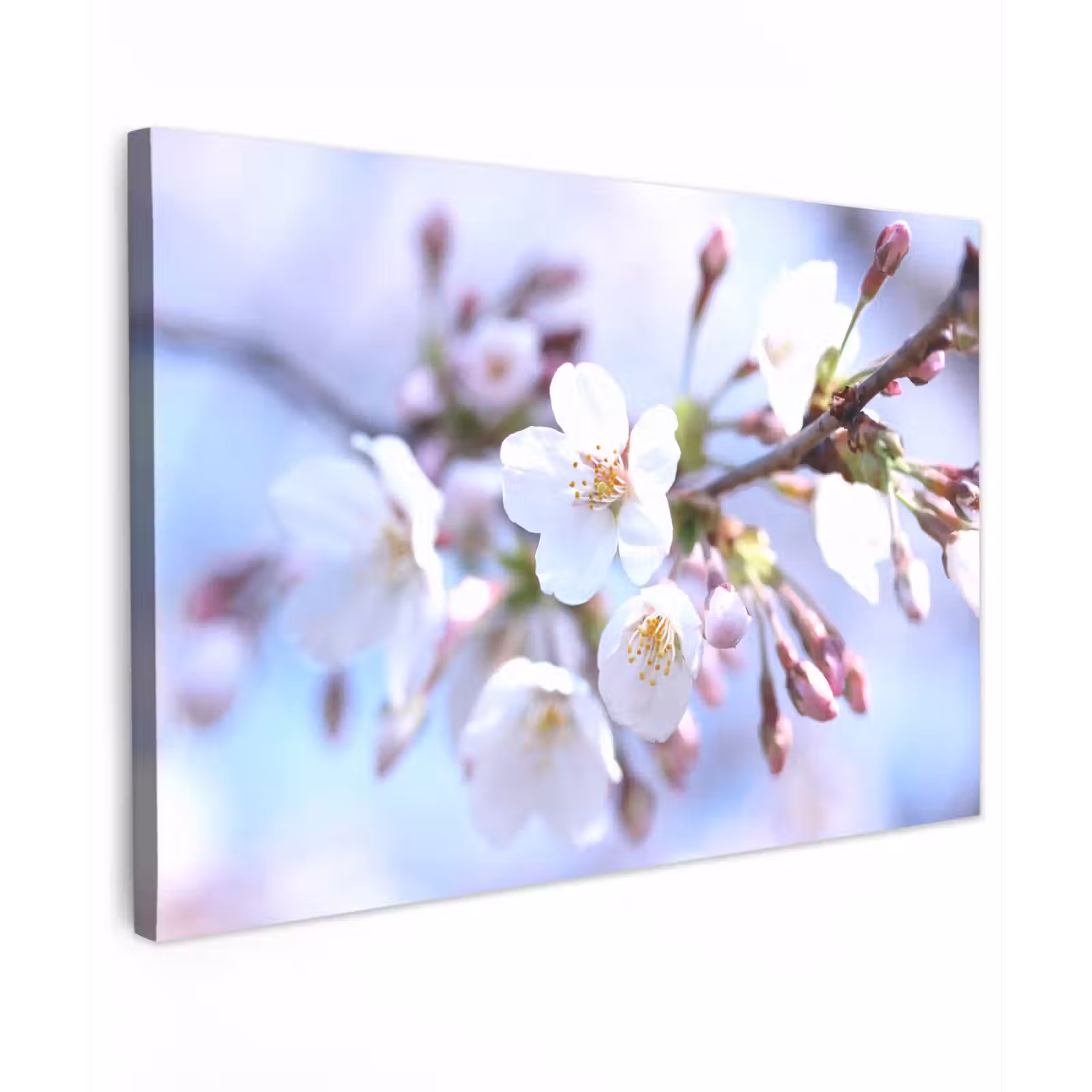 Canvas schilderij - Bloemen - Sakura - Tak - Bloesem takken — 1