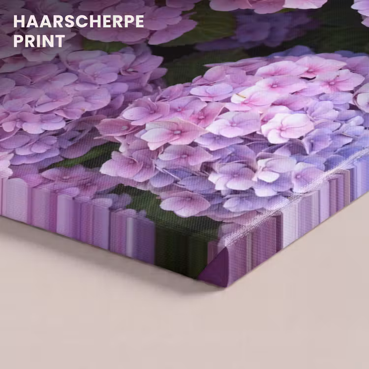 Canvas schilderij - Bloemen - Hortensia - Struik - Roze - Bloemblaadjes — 5