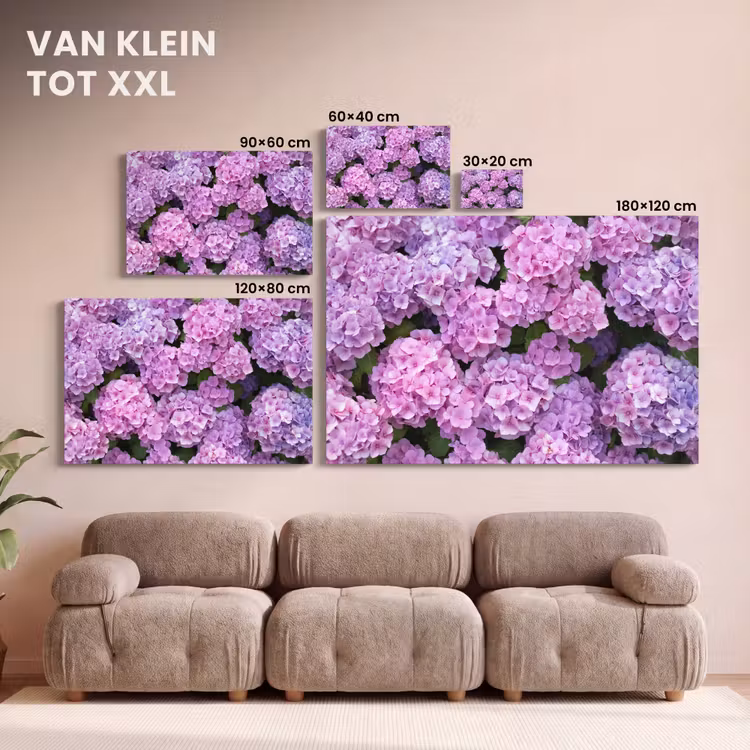 Canvas schilderij - Bloemen - Hortensia - Struik - Roze - Bloemblaadjes — 8