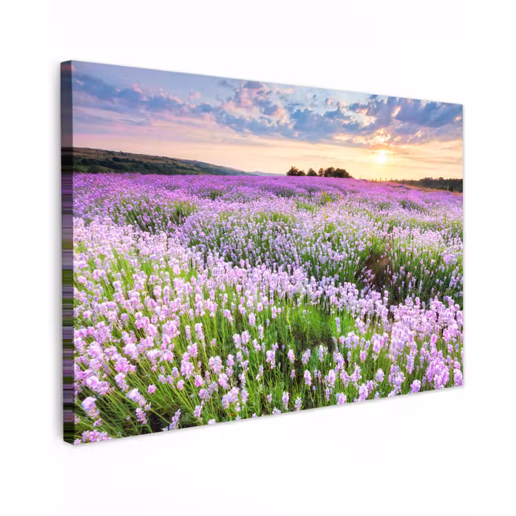 Canvas schilderij - Bloemen - Lavendel - Paars - Lucht - Zonsondergang - Weide - Natuur — 1