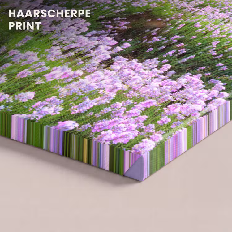 Canvas schilderij - Bloemen - Lavendel - Paars - Lucht - Zonsondergang - Weide - Natuur — 5