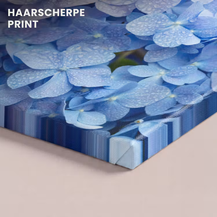 Canvas schilderij - Hortensia - Waterdruppel - Bloemen - Botanisch - Blauw — 5