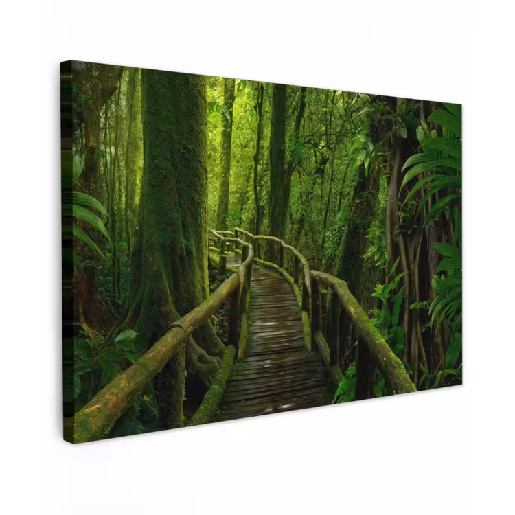 Canvas schilderij - Jungle - Brug - Mos - Natuur - Tropisch — 1