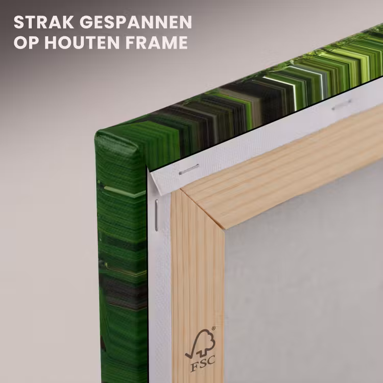 Canvas schilderij - Jungle - Brug - Mos - Natuur - Tropisch — 7