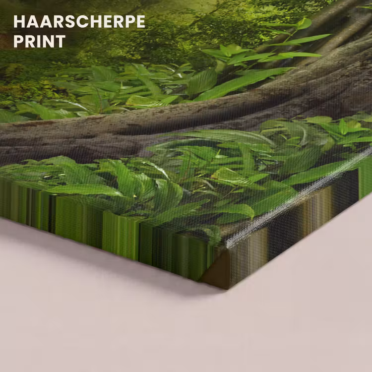 Canvas schilderij - Jungle - Groen - Natuur - Tropisch - Planten — 5