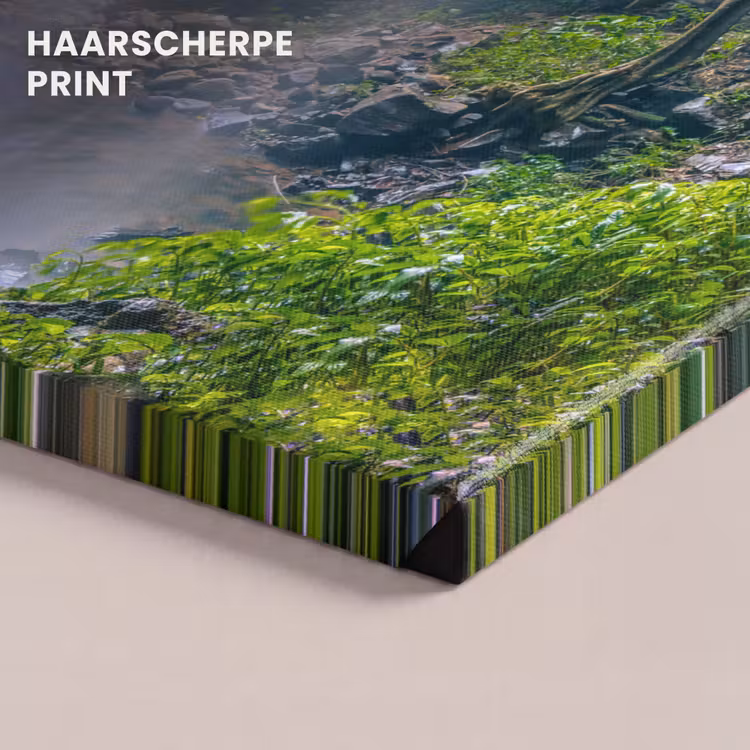 Canvas schilderij - Jungle - Regenwoud - Water - Waterval - Planten — 5