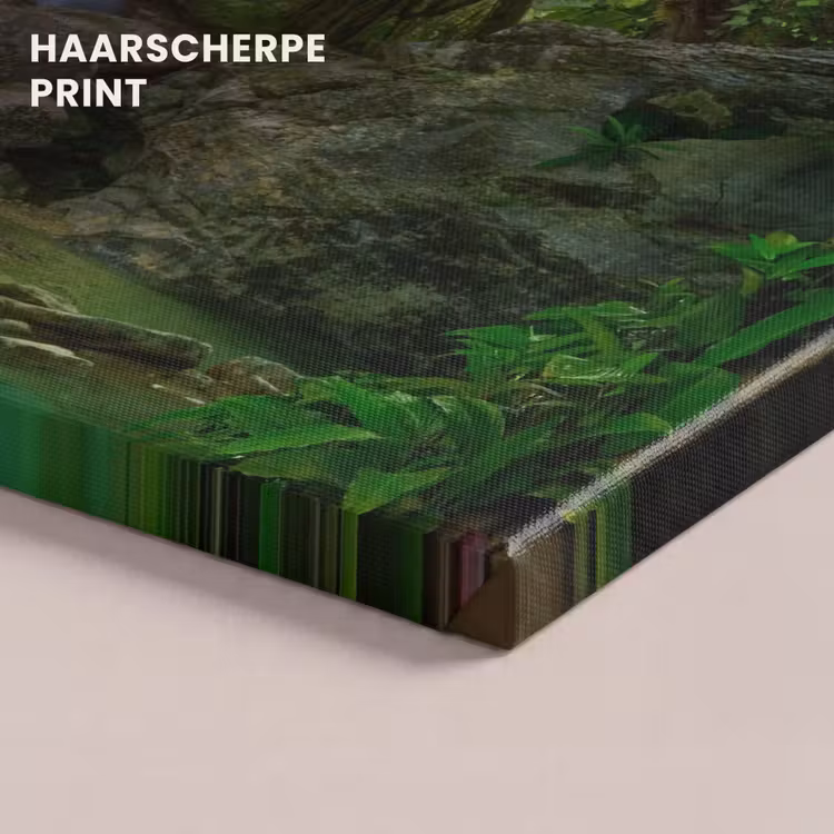 Canvas schilderij - Jungle - Stenen - Water - Natuur - Planten — 5