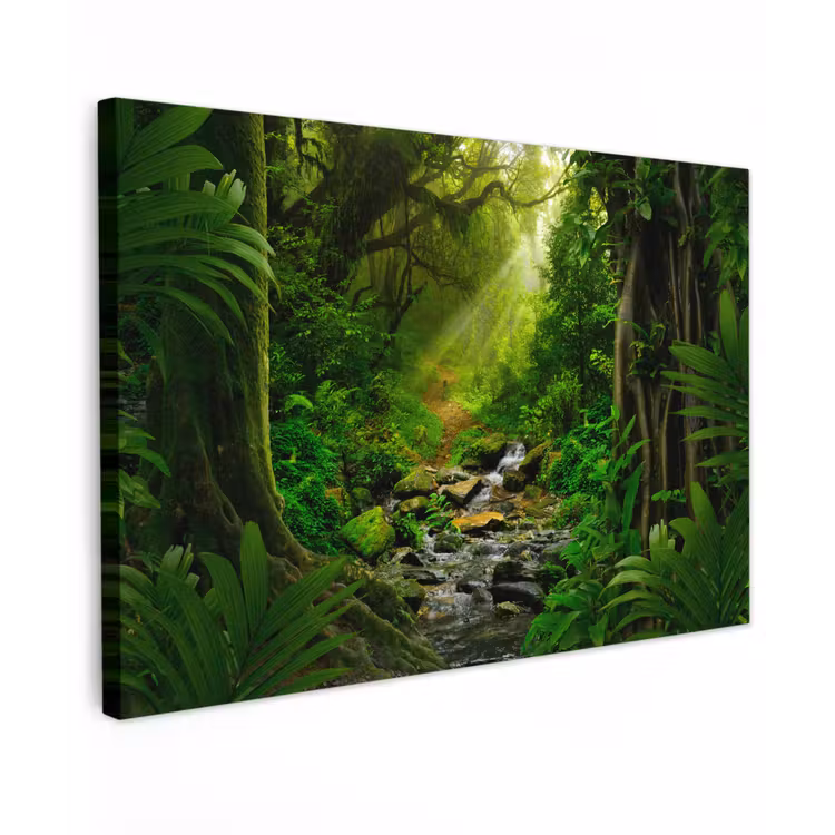 Canvas schilderij - Jungle - Water - Bladeren - Zon - Natuur — 1