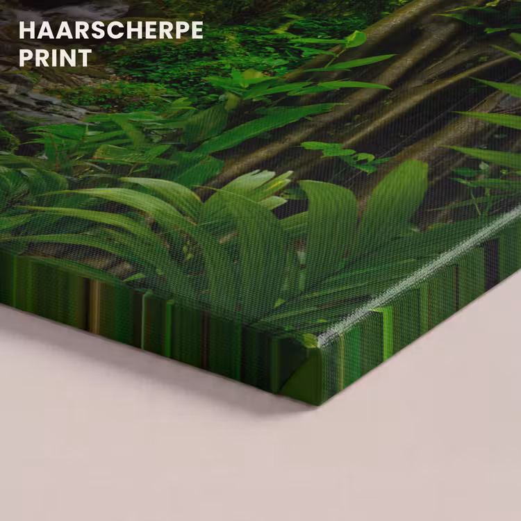 Canvas schilderij - Jungle - Water - Bladeren - Zon - Natuur — 5
