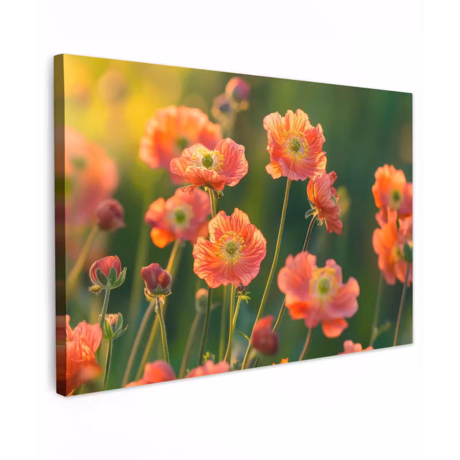 Canvas schilderij - Bloemenveld - Zonnestralen - Oranje — 1