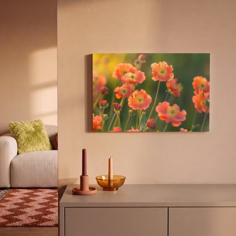 Canvas schilderij - Bloemenveld - Zonnestralen - Oranje — 2