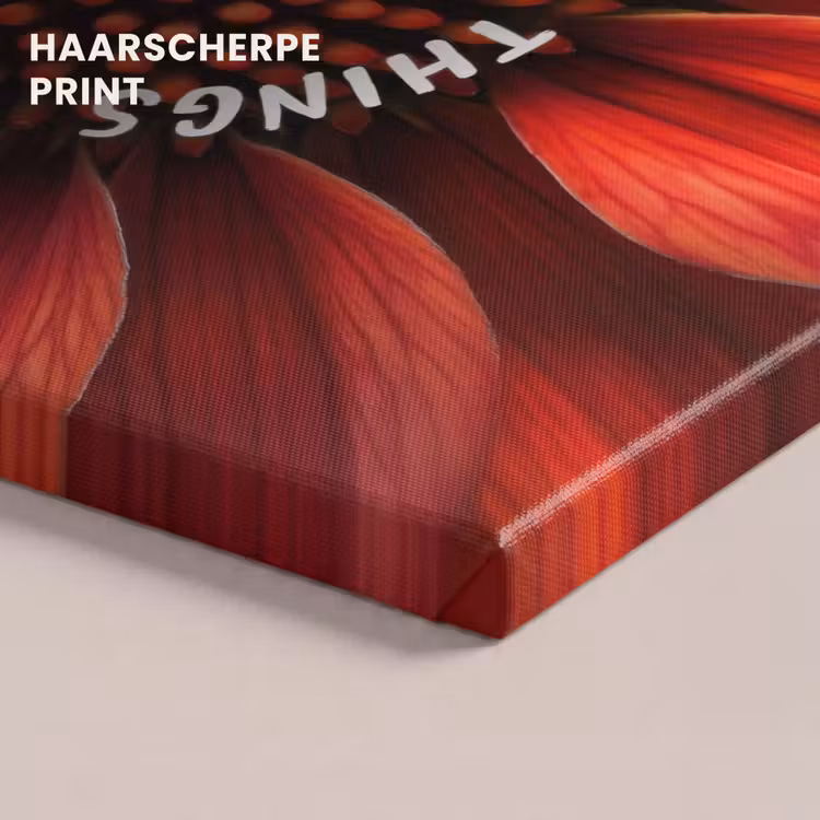 Canvas schilderij - Close up - Bloem - Quote - Rood — 5