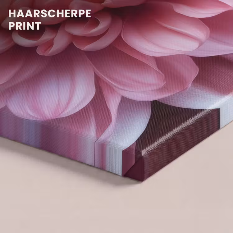 Canvas schilderij - Dahlia - Bloem - Close up - Roze — 5