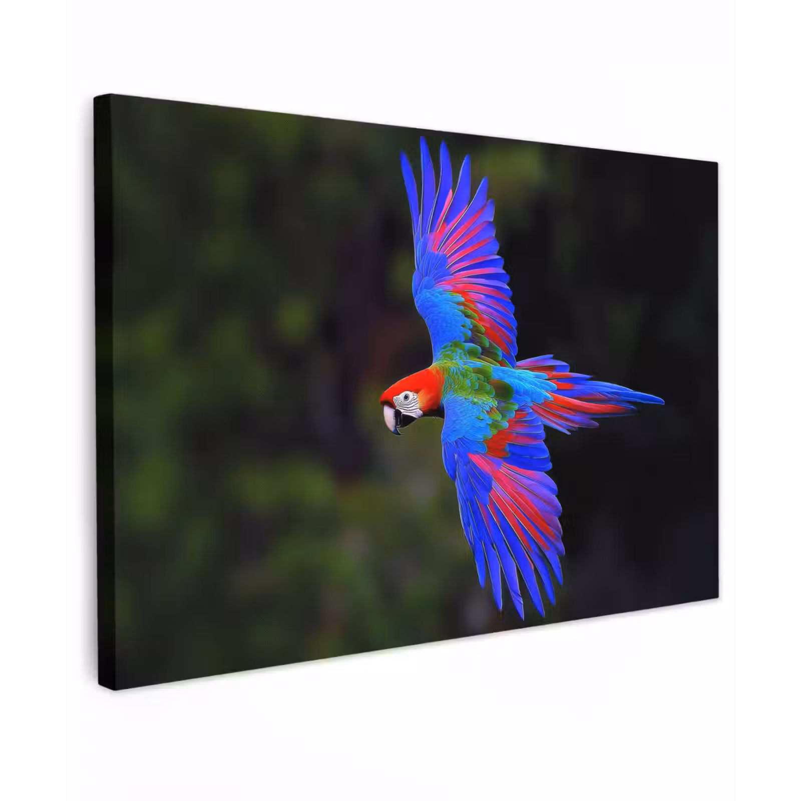 Canvas schilderij - Felgekleurd - Papegaai - Bos - Vleugels — 1