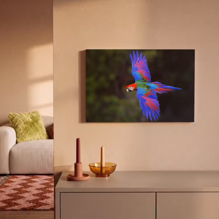 Canvas schilderij - Felgekleurd - Papegaai - Bos - Vleugels — 2