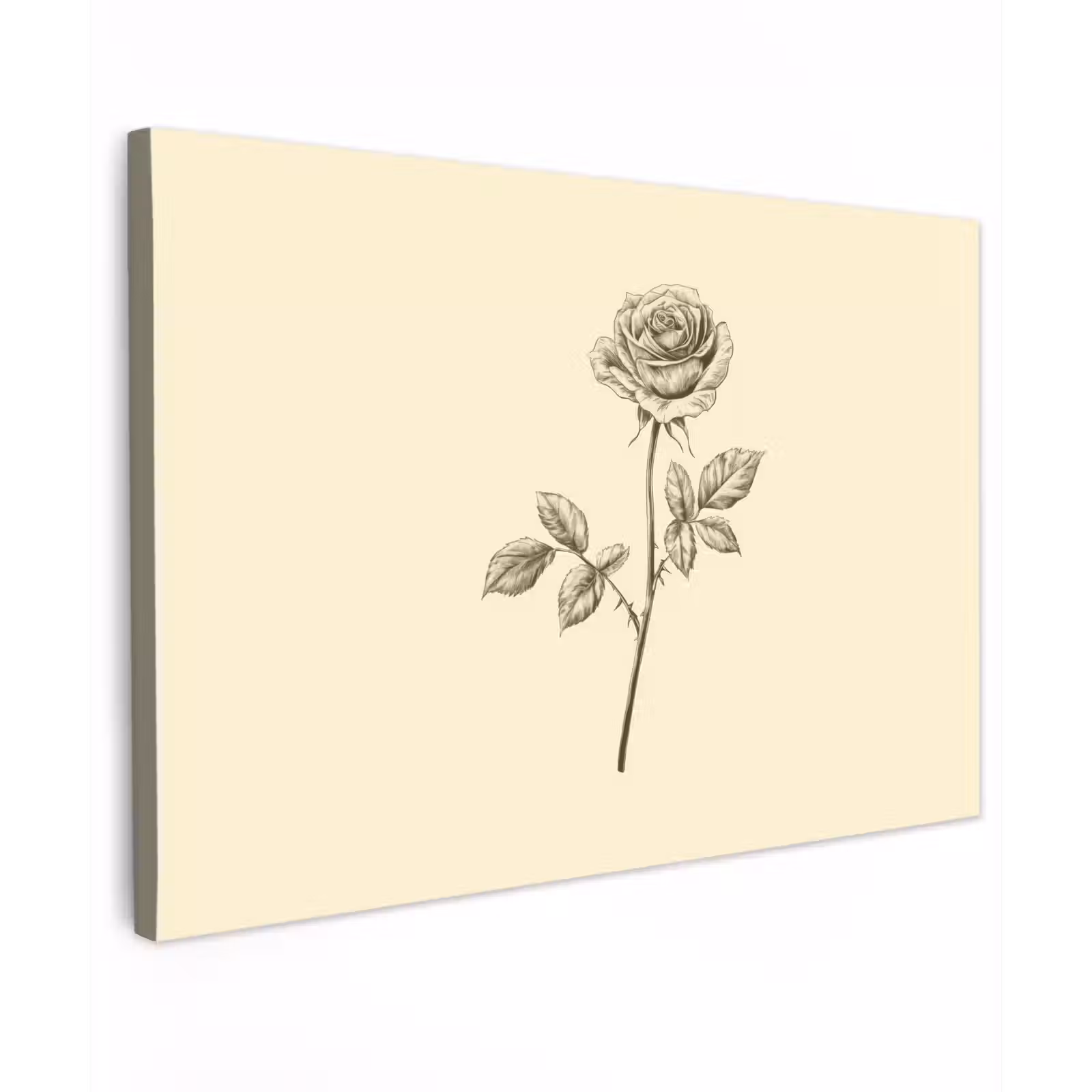 Canvas schilderij - Illustratie - Zwart - Roos — 1