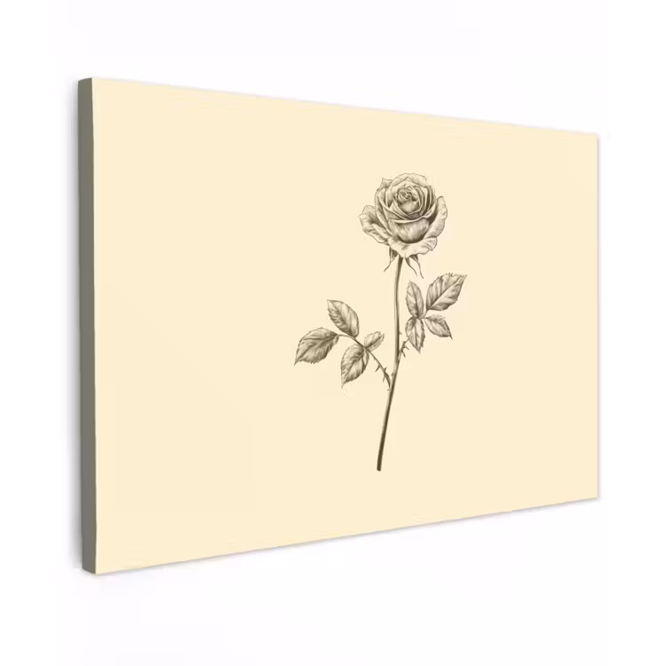 Canvas schilderij - Illustratie - Zwart - Roos — 1