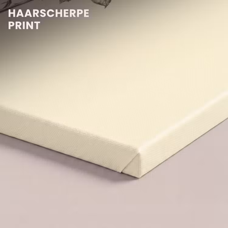 Canvas schilderij - Illustratie - Zwart - Roos — 5