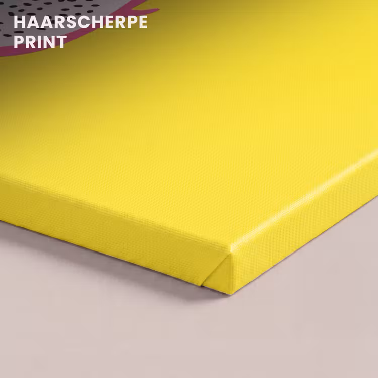 Canvas schilderij - Illustratie - Drakenvrucht - Kleurrijk — 5