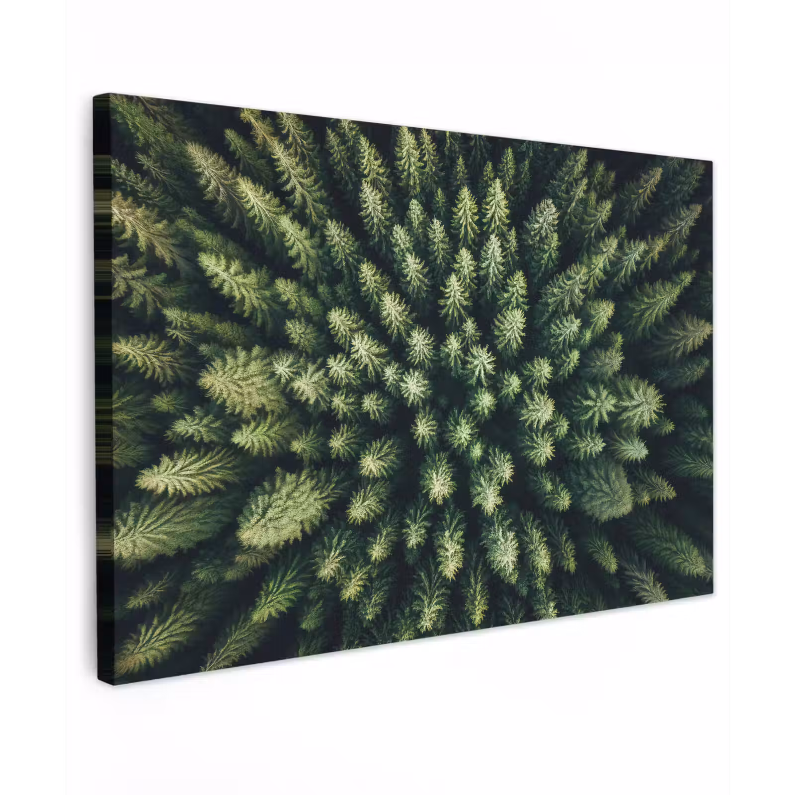 Canvas schilderij - Bomen - Naaldwoud - Structuur — 1
