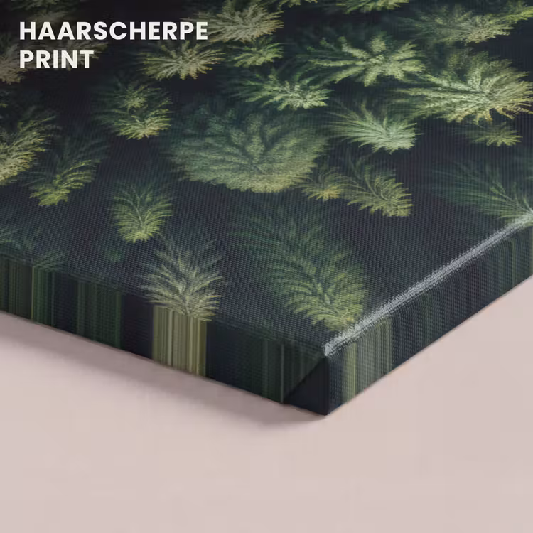 Canvas schilderij - Bomen - Naaldwoud - Structuur — 5