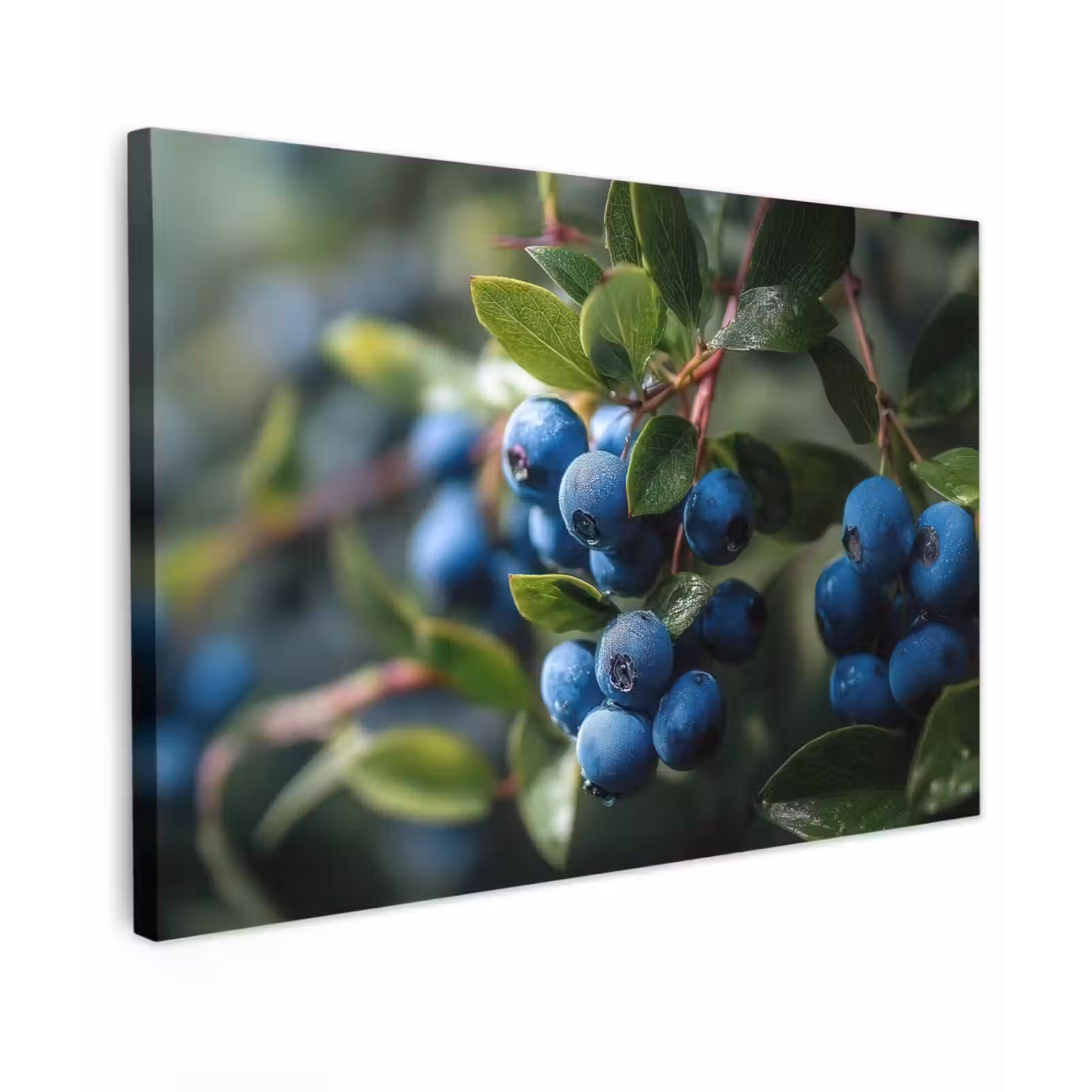Canvas schilderij - Blauwe bessen - Dauwdruppels - Natuurlijk licht — 1