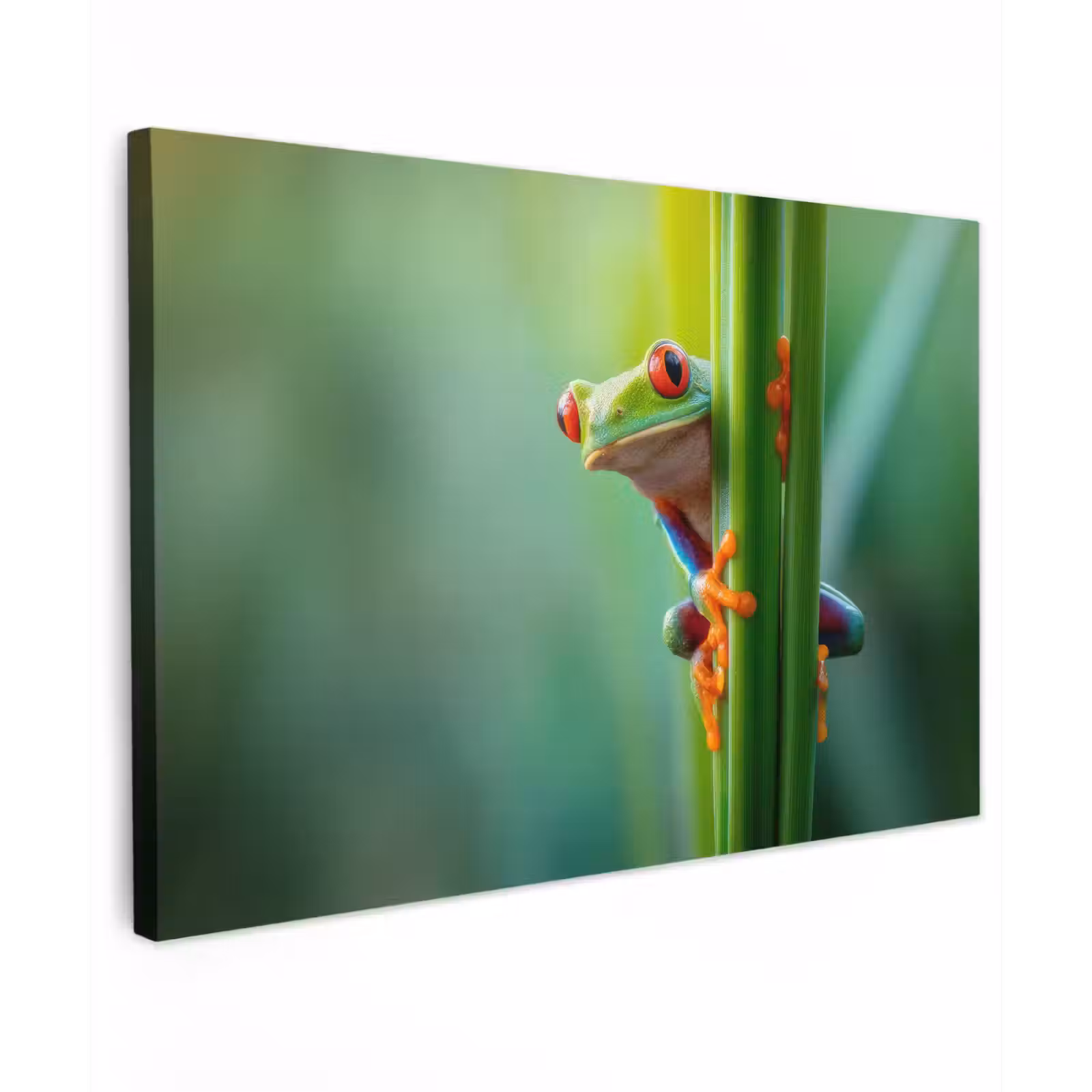 Canvas schilderij - Groene kikker - Nieuwsgierig - Gras — 1