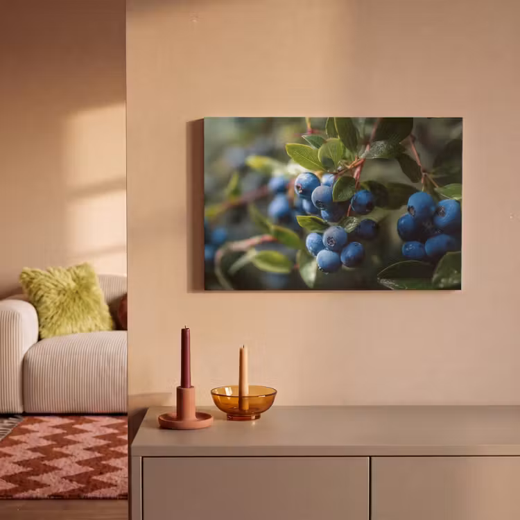 Canvas schilderij - Blauwe bessen - Dauwdruppels - Natuurlijk licht — 2