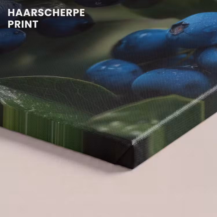Canvas schilderij - Blauwe bessen - Dauwdruppels - Natuurlijk licht — 5