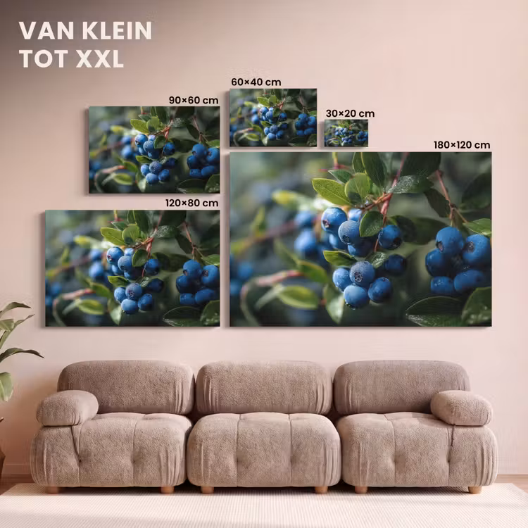 Canvas schilderij - Blauwe bessen - Dauwdruppels - Natuurlijk licht — 8
