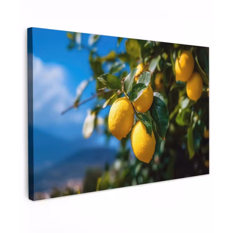 Canvas schilderij - Citroenen - Bladeren - Blauwe lucht — 1
