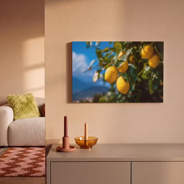 Canvas schilderij - Citroenen - Bladeren - Blauwe lucht — 2