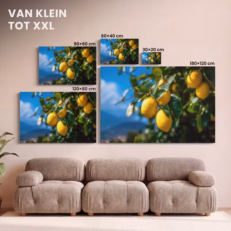 Canvas schilderij - Citroenen - Bladeren - Blauwe lucht — 8