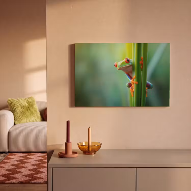 Canvas schilderij - Groene kikker - Nieuwsgierig - Gras — 2