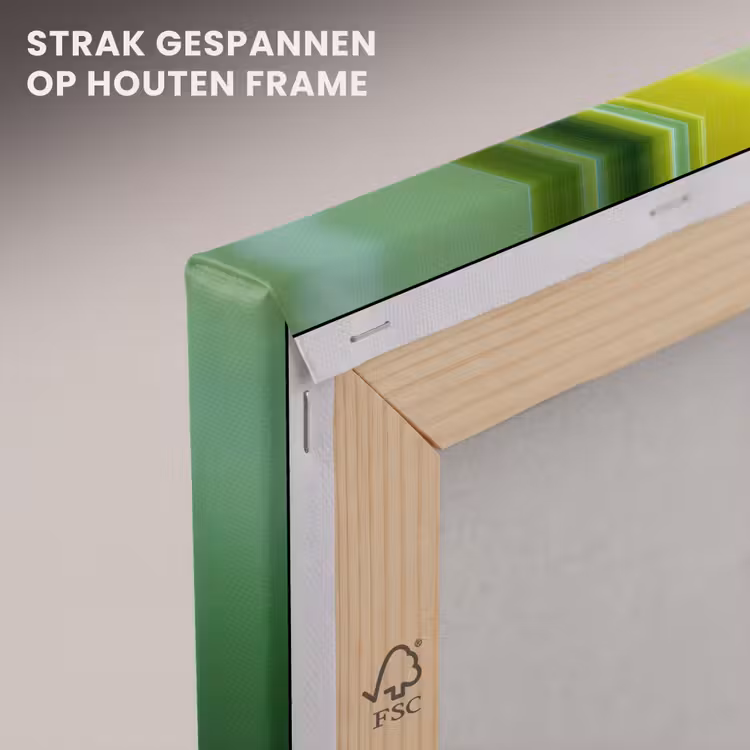 Canvas schilderij - Groene kikker - Nieuwsgierig - Gras — 7